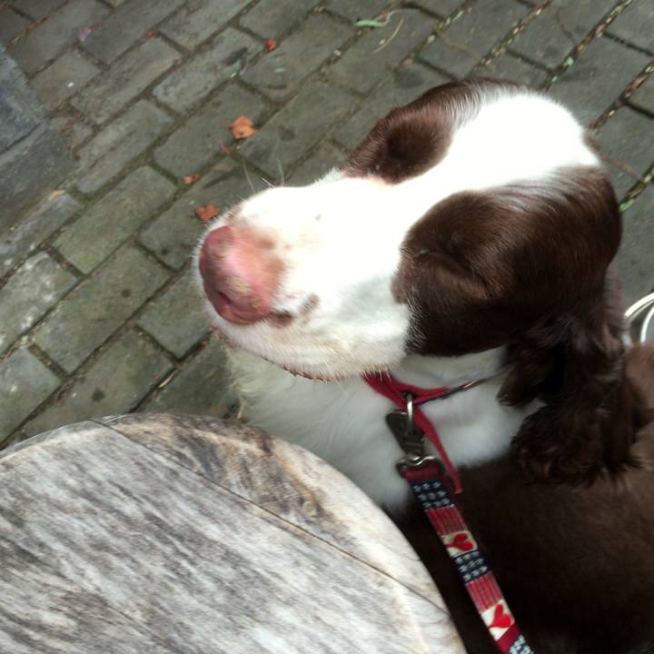 139e367c 6b45 4a03 9d9d 0842d815bb1a