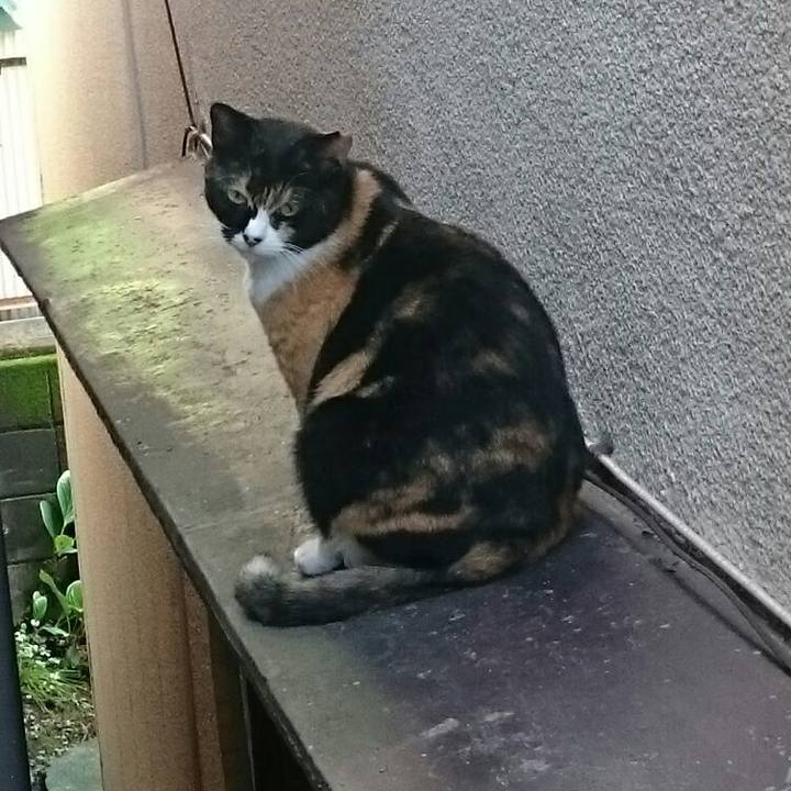 139e5500 f031 4450 9e93 c883c8efee18