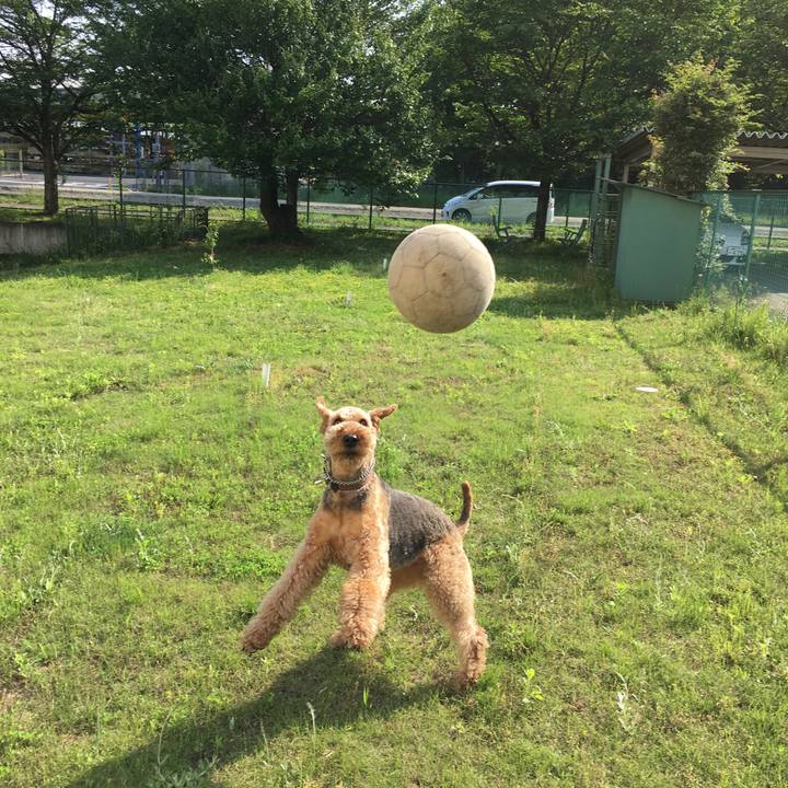 139e6ae8 fed1 4951 9654 b5323c71be70