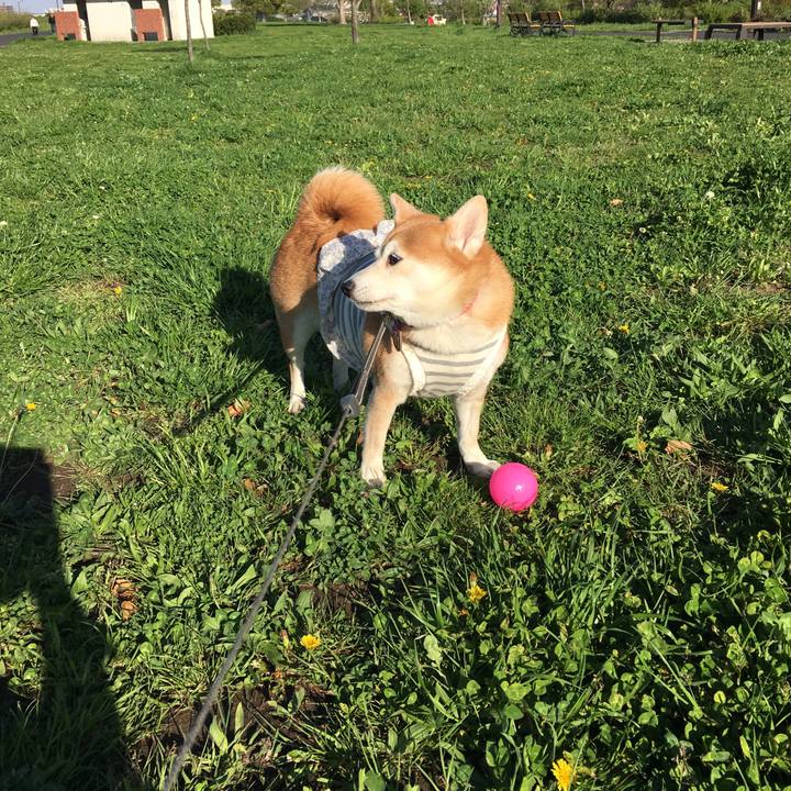 139e8062 ba4c 41eb bfa8 fbbacb4705c3