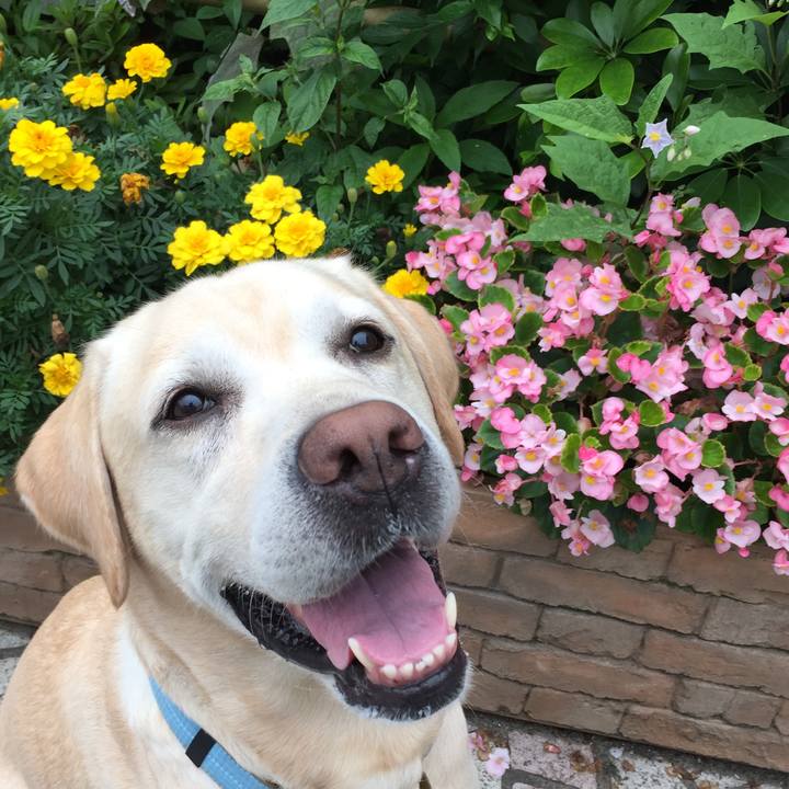 139f4c48 511d 411d 8025 02a5ebe82e1d