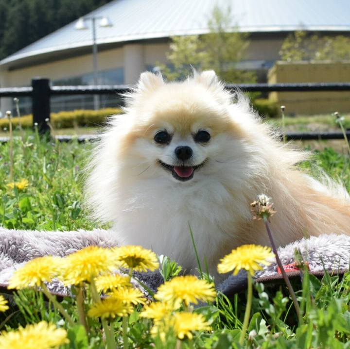 139f9376 acaf 485f 902c deea4f229bb5