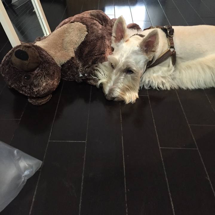 13a0e532 912b 40b7 a09d 20b7bdb6dc2a