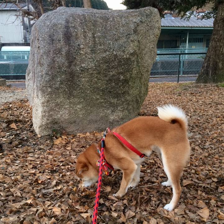 13a108b6 cfd0 4655 895b a3f58088f14d