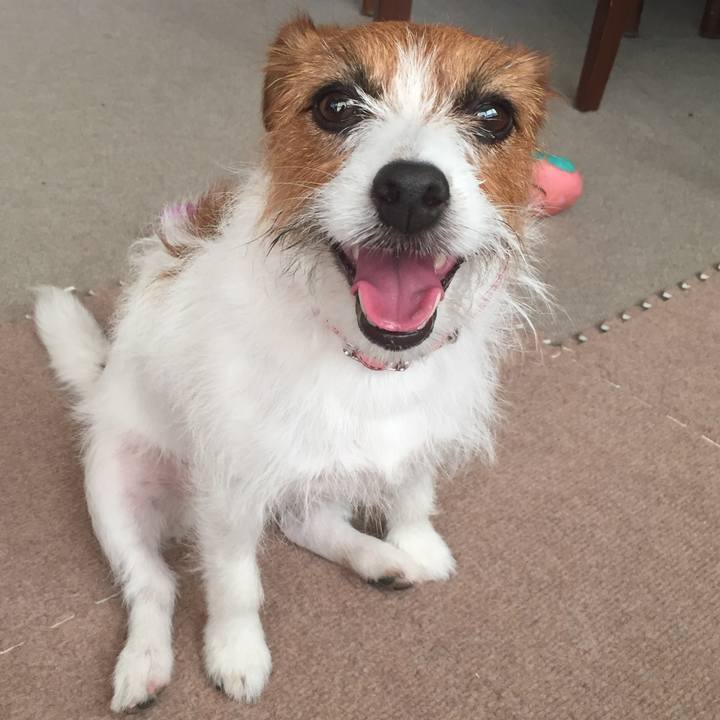 13a16492 fdda 4571 b5db ab0f8900877f