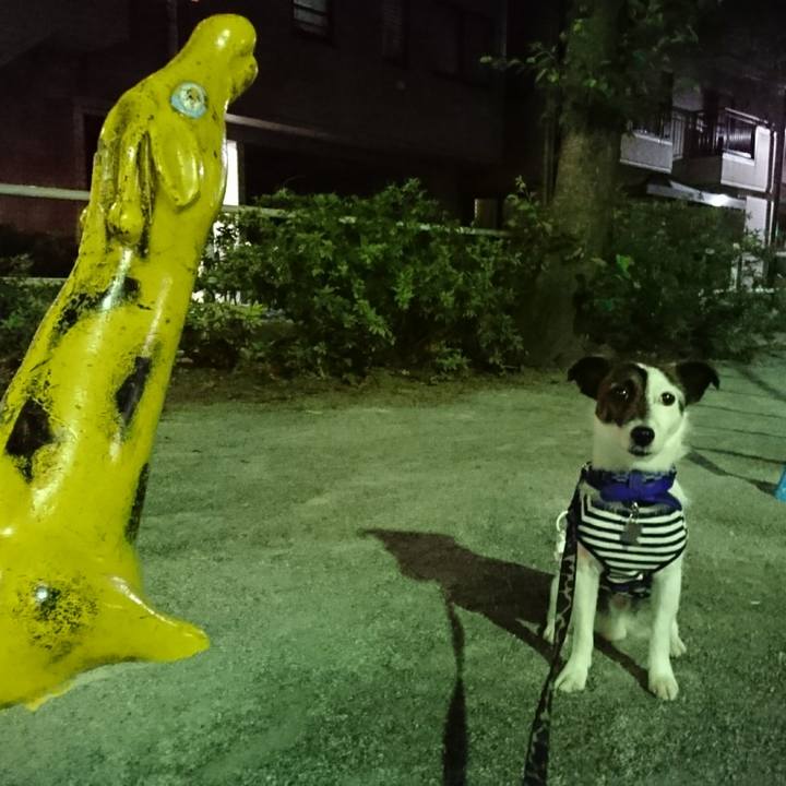 13a16873 ca10 4178 b487 d9251d25e525