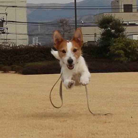 13a21a2d 803c 43d6 a7c4 212fe98ae850