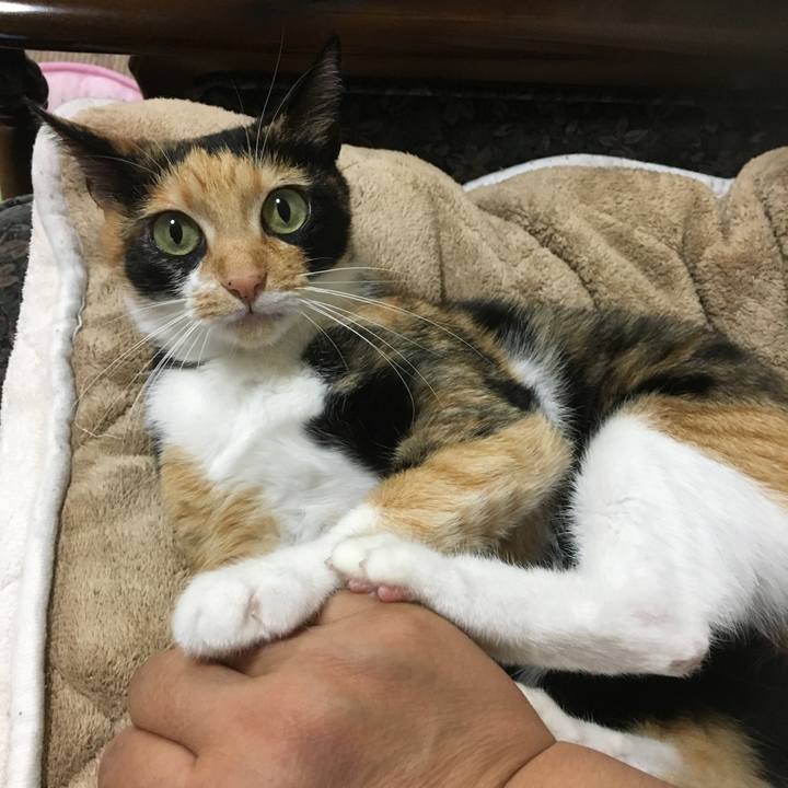 13a224fb ed8b 4c9d 8cc6 22165566859e