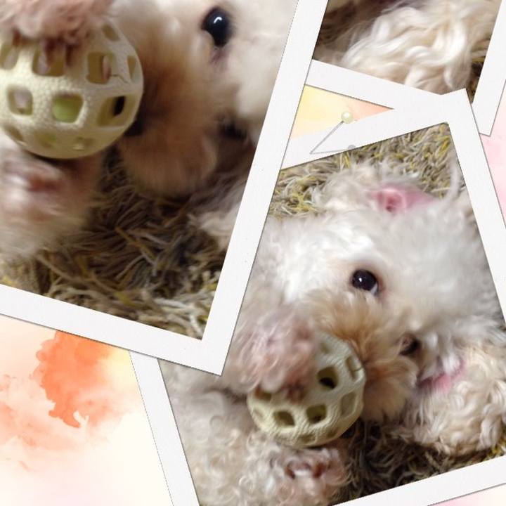 13a2524e 6cd3 463a acb3 dc5c83e3b782