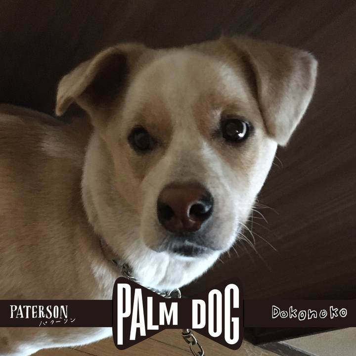 13a2748c 0676 48bc 8bc2 46ec6f75491e