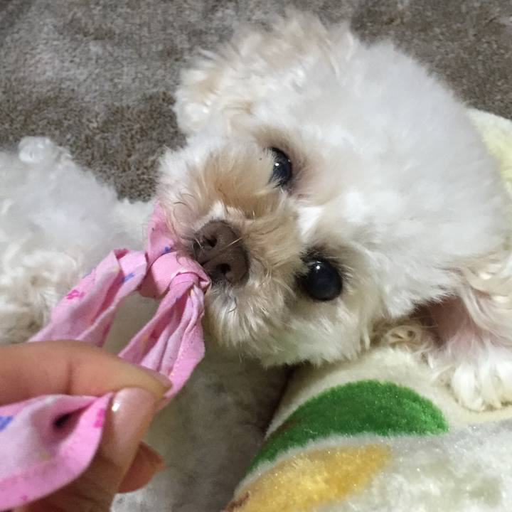 13a2f1ec 7565 42a6 a1ce 8c7707b698c7