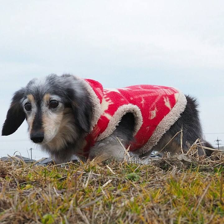 13a3492a b90d 4922 acba 0214c04755ca