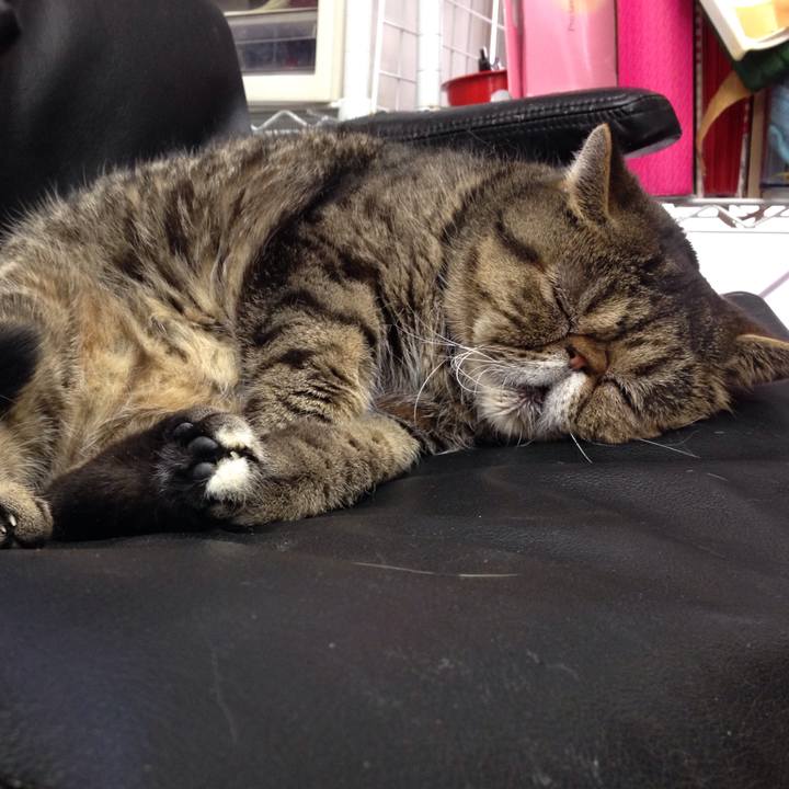 13a36869 a38a 480f a1c4 596a50fdde84