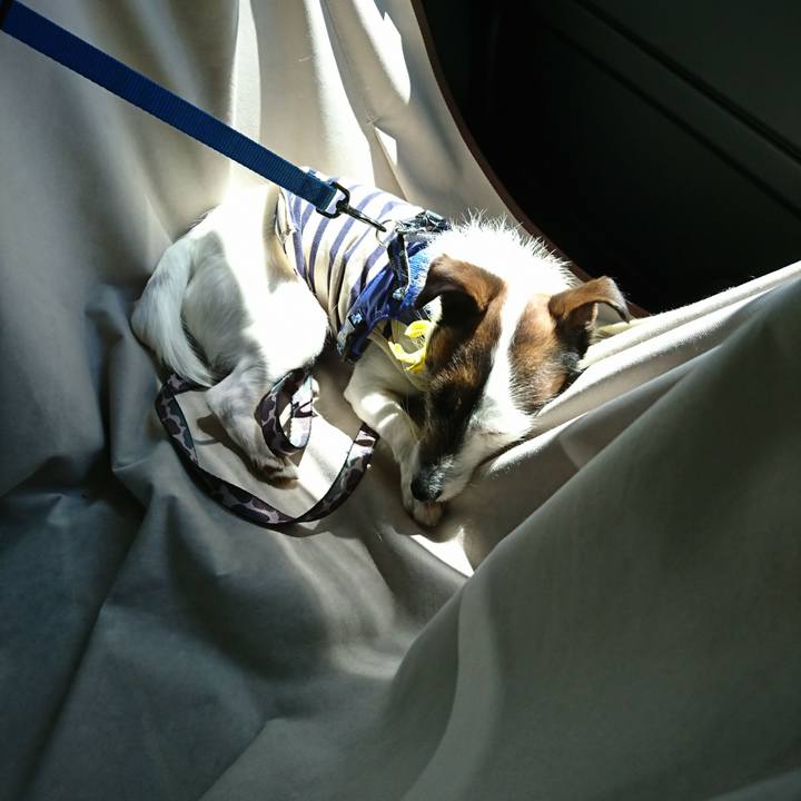 13a3d968 d1ec 4e96 8163 c3cf9af01bdd