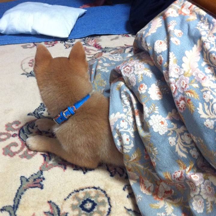 13a48a82 213c 4f84 97f7 c2f6da64337b