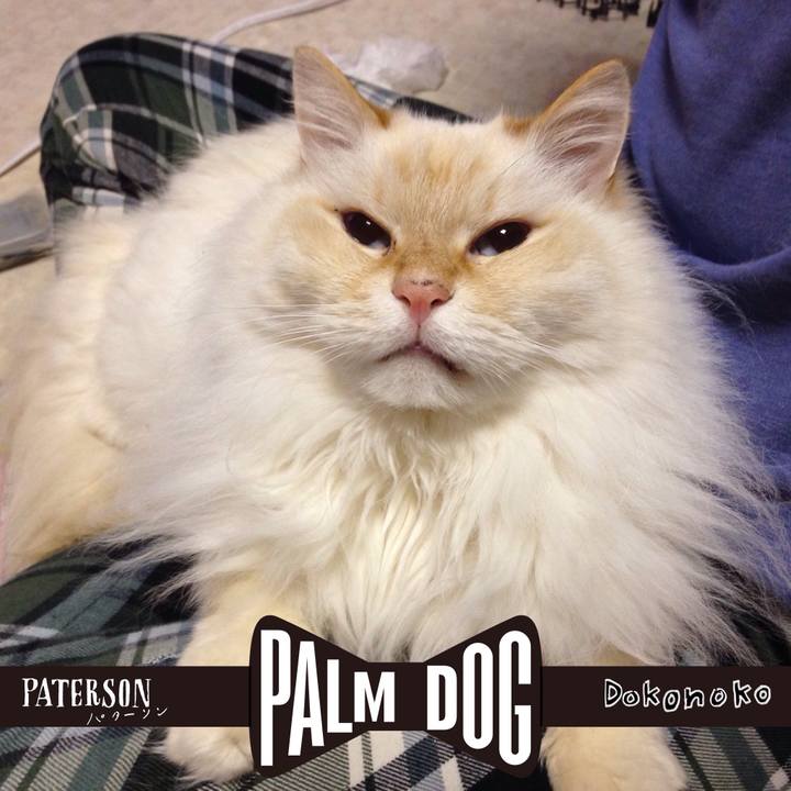 13a4c048 f0db 4cd3 a847 95b796486f6f