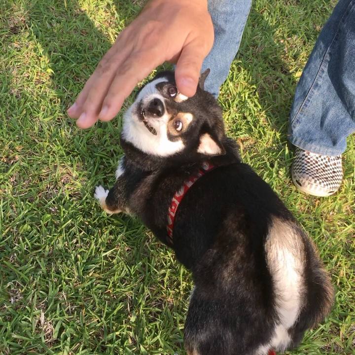 13a5ba24 dfc7 4f9c adab 9523f6df6b6a