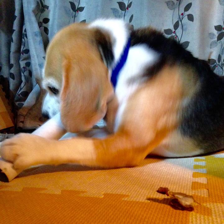 13a5bdec 4311 4bf4 9711 c6b7a2f48ba2