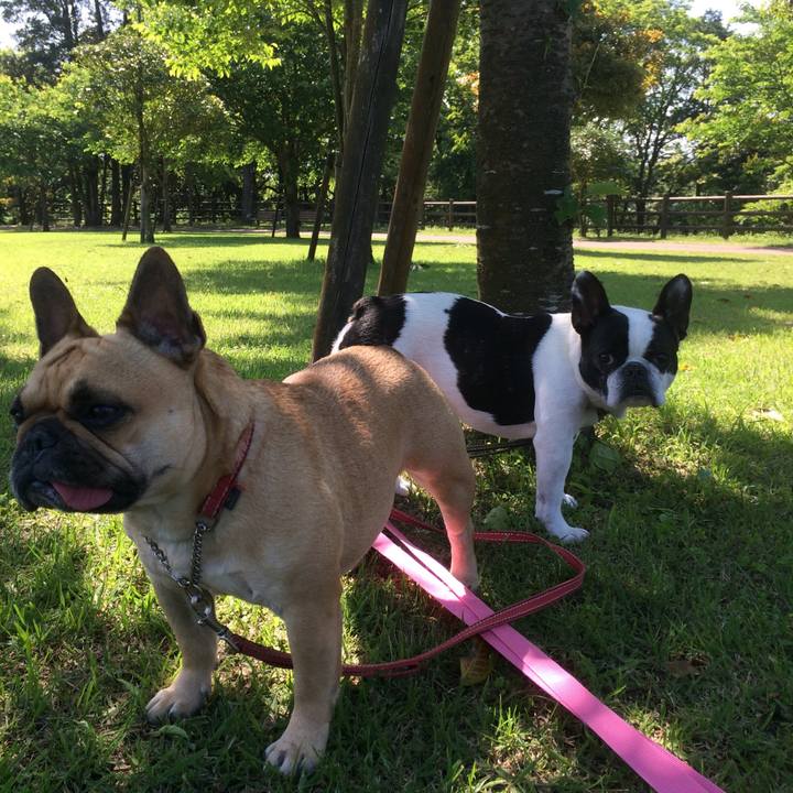 13a5cf64 df5e 44b0 ae0c 8912f739040e