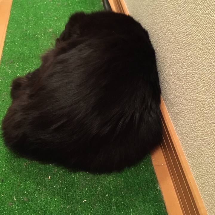 13a5f74c a33b 419c b6f2 059692e11268