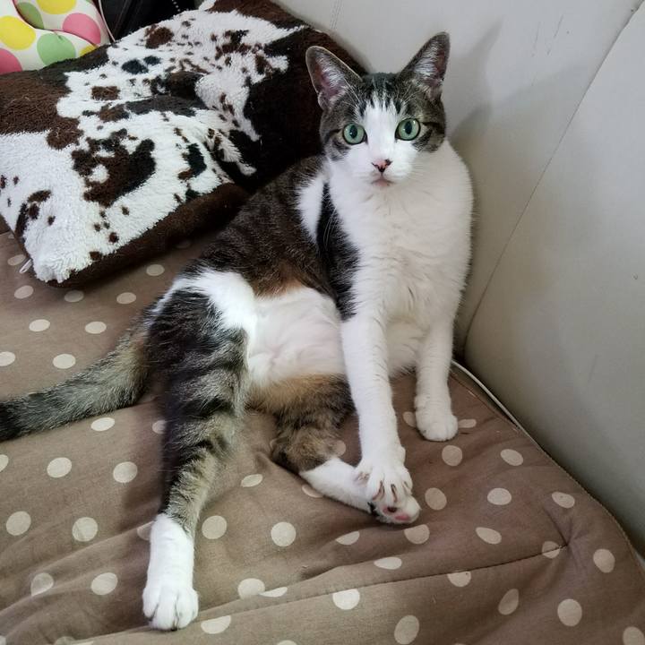 13a6bb25 8a5a 4f74 892d b7ea8c0ab5ca