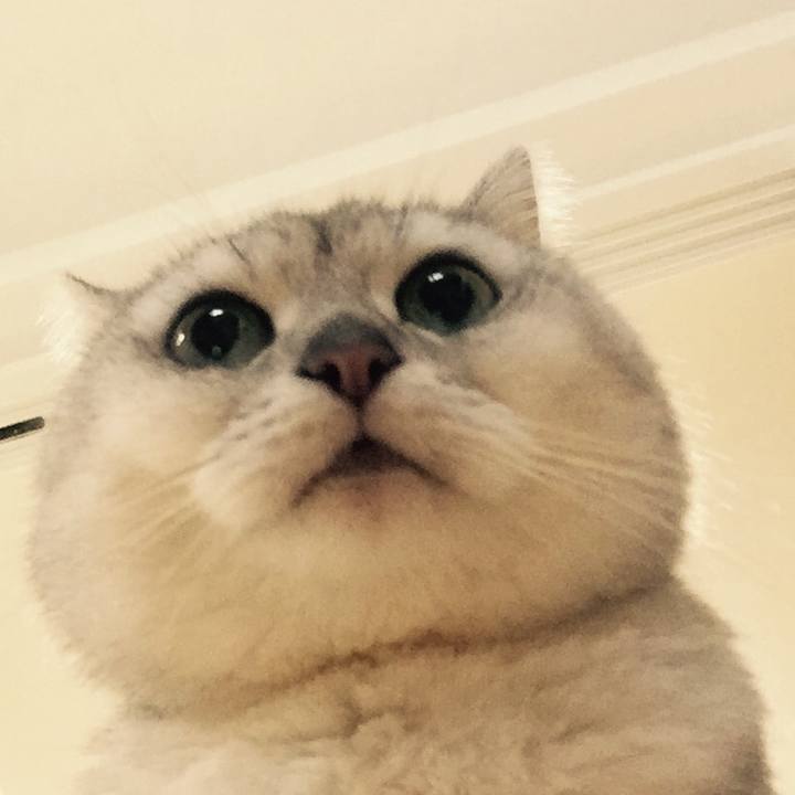 13a796d4 79c6 4d09 90ab 13f678c1a177