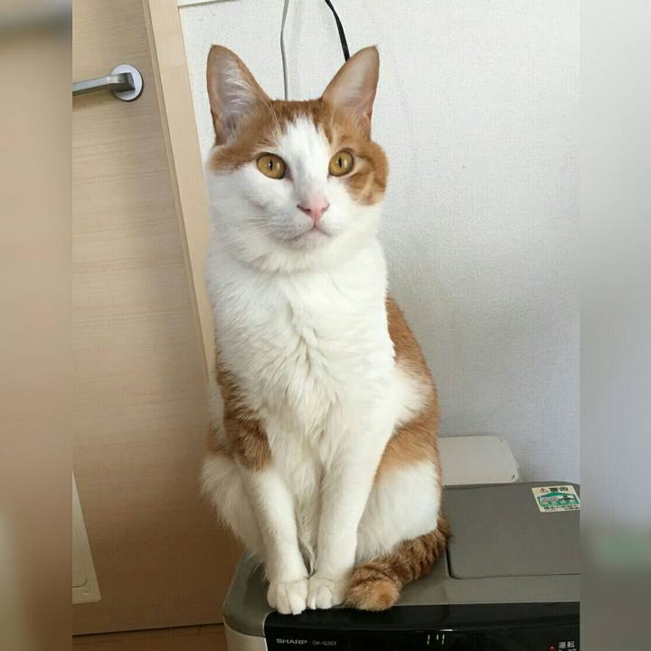 13a7b8ca 25ab 4711 a479 bac8801e2eff