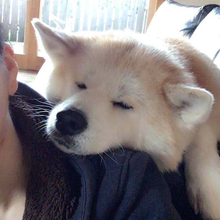 13a7b9c7 08d4 4620 aadc 817bb3be97d2