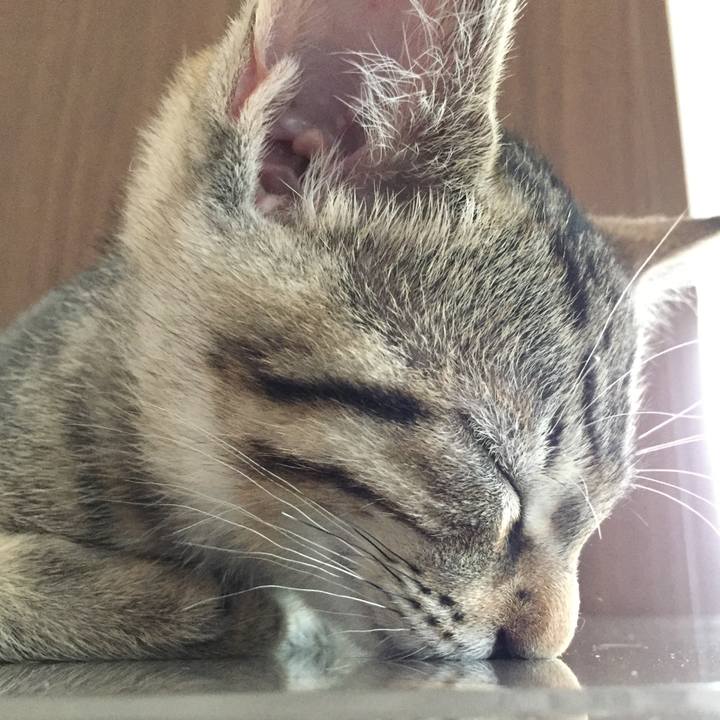 13a7bcc3 3ffc 4165 900e f2423cf92c21