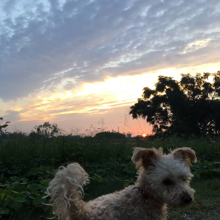 13a845e8 d54d 4b6d 9ab2 8cc526aa4de4