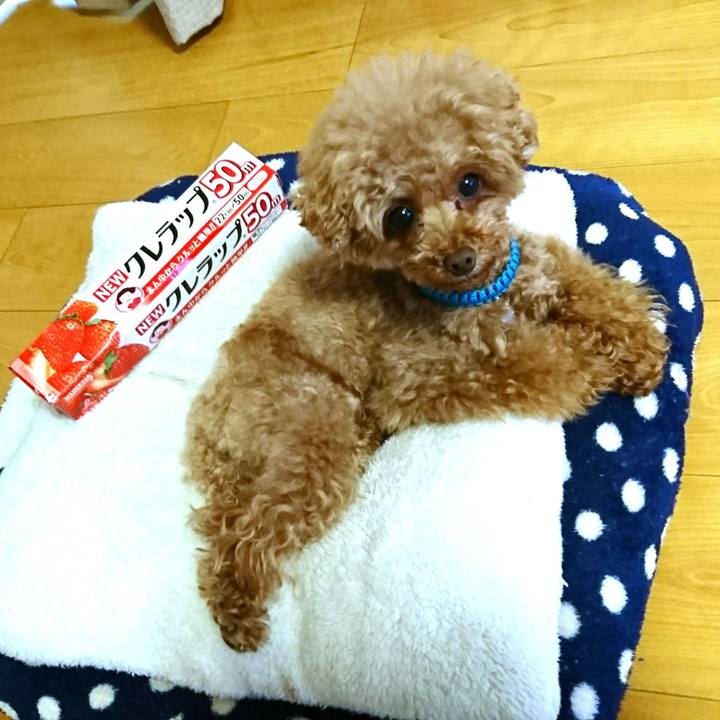 13a8bb5a 2b4e 432b b08e 0bcdd9603783