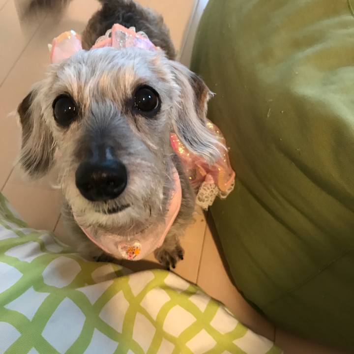 13a99f67 eb01 408b af73 4d572d30917a