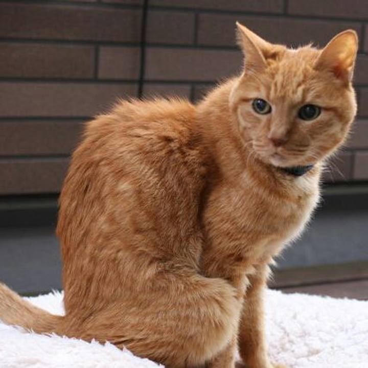 13aa0d77 8709 43be 9d67 fa745188fb77