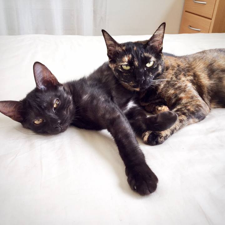 13aa17c1 d704 4f44 8ff8 24d4c52f6dc8