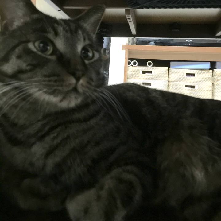 13aa1a14 e0e5 4b27 a6b2 c35c2984f84e