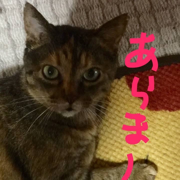 13aa8a12 a55e 4c3b aff4 54451548ff42