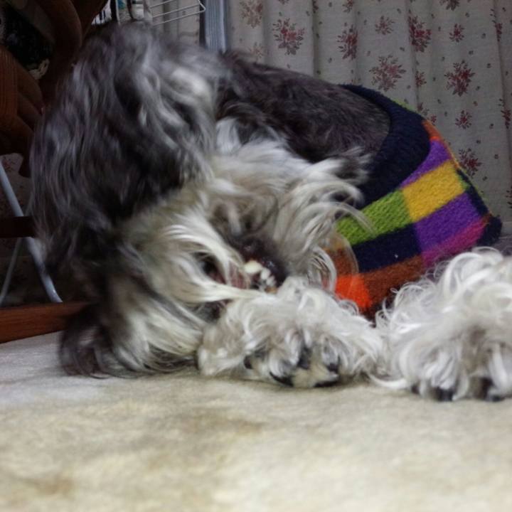 13aabd88 1dfb 4248 ab93 9c4509b06ee3