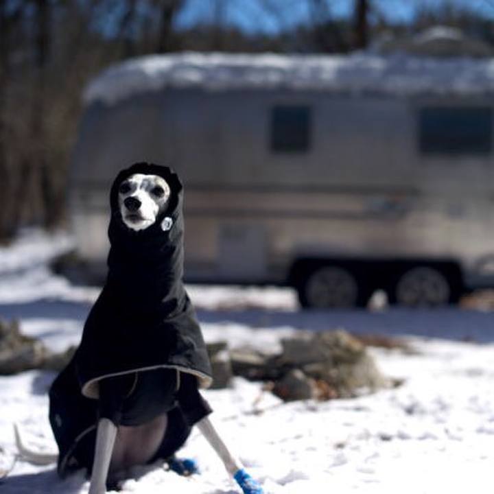 13aad593 f1a4 4dea 9401 351ca97aabcd