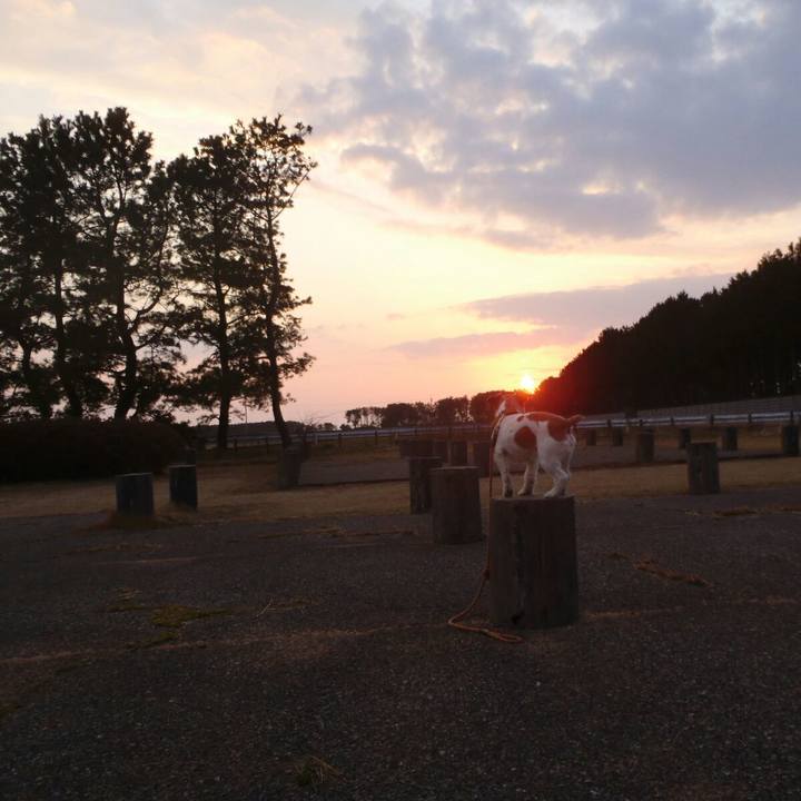 13ab0a65 8f72 4fe7 9607 59c0e6596b79