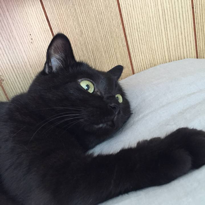 13ab6ae4 82dd 4c89 ab23 c8973ea1d960