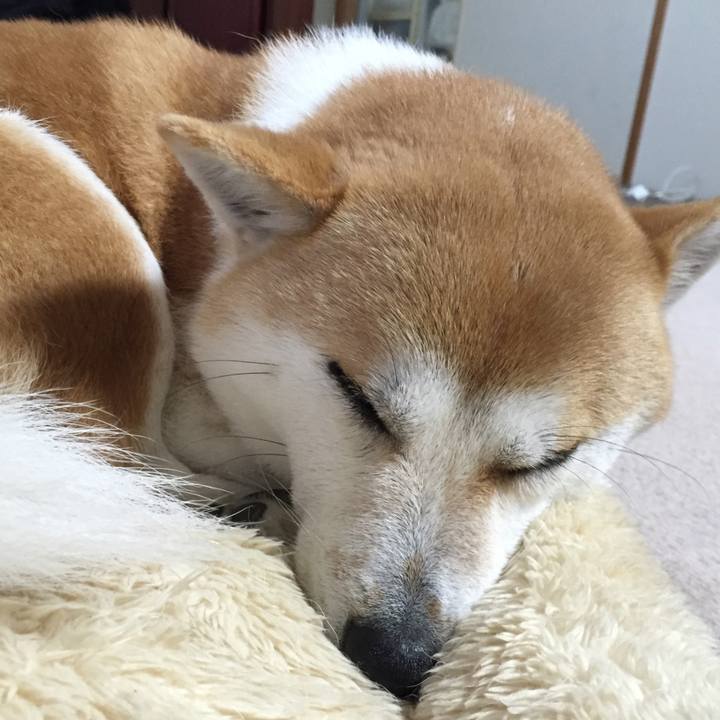 13ab8ae4 c909 4dff b495 1ac338a20b32