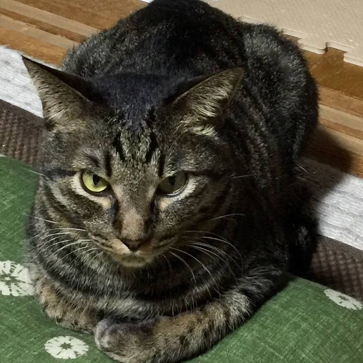 13abe4ec a22f 48d4 8c6e c8e43ad2f4c0