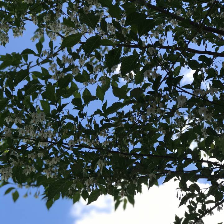 13ac3937 b74a 4951 99fa fde352f9a29c