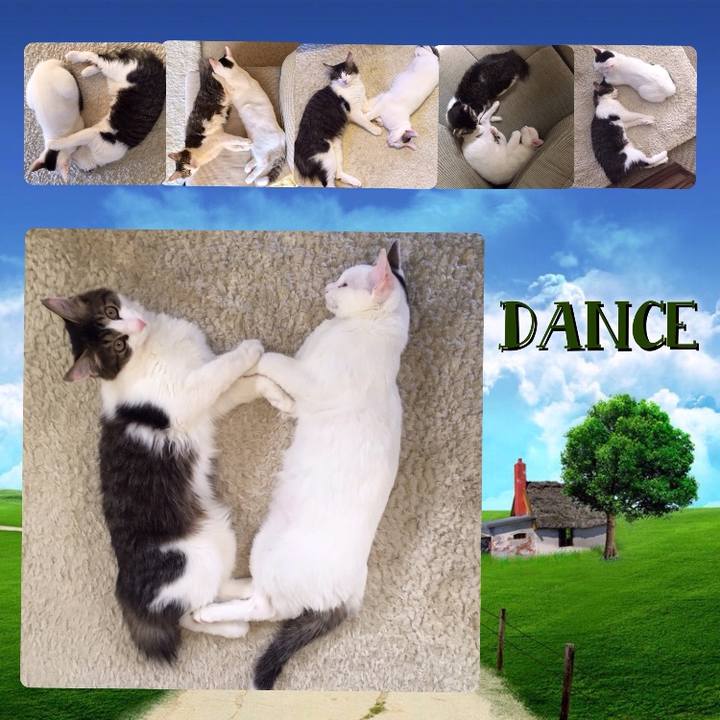 13acfb5b 0f0d 4592 9120 f6b144e722d0