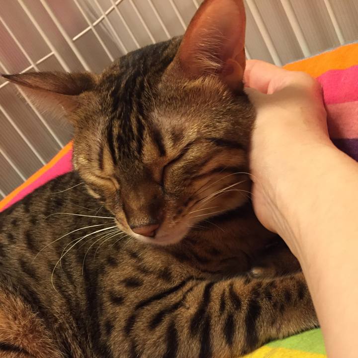 13ae813c a484 47d9 b873 f58322766262