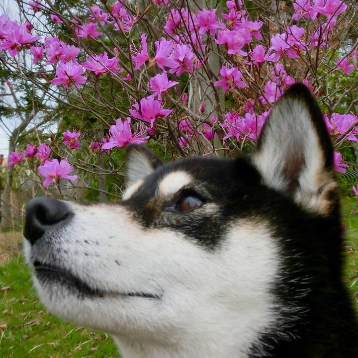 13aebe73 3f6e 4cfb 8740 06c72cb86cb6