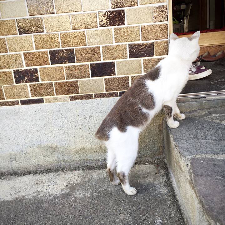 13aff310 3920 4049 8130 595ac7280646