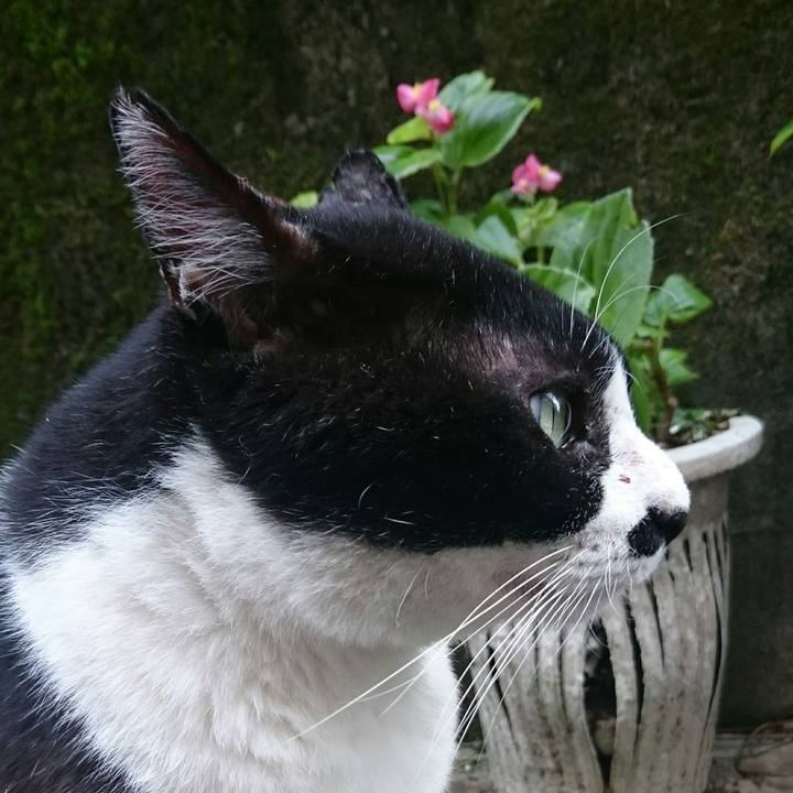 13b05e8b 214a 4953 ba80 7329ae9c6969