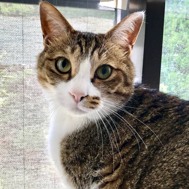 13b0e265 03e2 42d8 be39 7d4950abc7e5