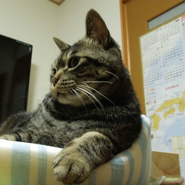 13b0efc3 dae0 4901 a173 da5a2953fe56